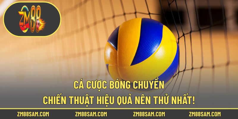 Cá Cược Bóng Chuyền - Chiến Thuật Hiệu Quả Nên Thử Nhất!