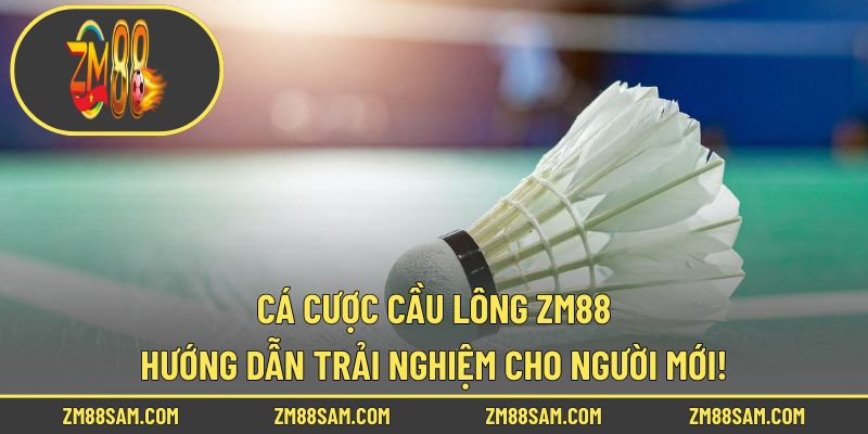 Cá Cược Cầu Lông ZM88 - Hướng Dẫn Trải Nghiệm Cho Người Mới!