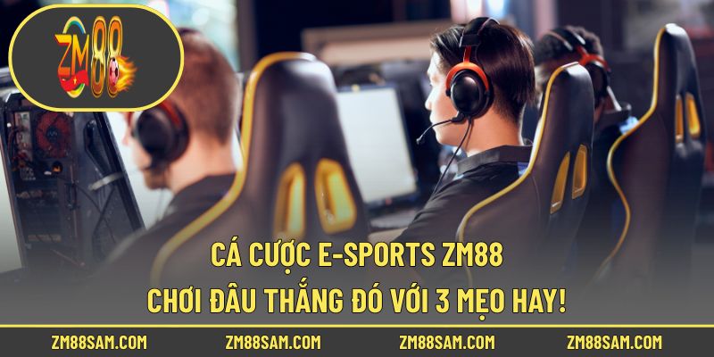 Cá cược E-Sports ZM88 - Chơi Đâu Thắng Đó Với 3 Mẹo Hay