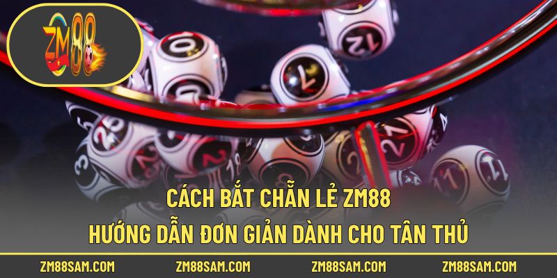 Cách Bắt Chẵn Lẻ ZM88 - Hướng Dẫn Đơn Giản Dành Cho Tân Thủ