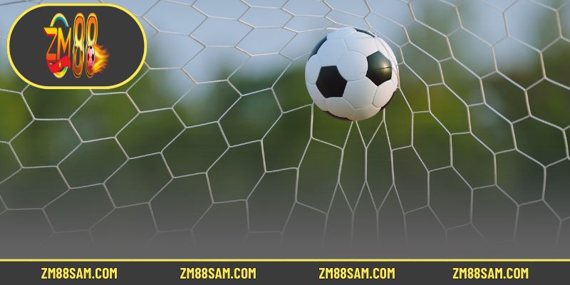 Giới thiệu về sảnh Thể thao ZM88