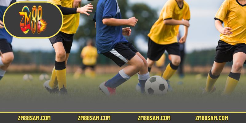 Những bộ môn cá cược Sports thịnh hành nhất tại sân chơi