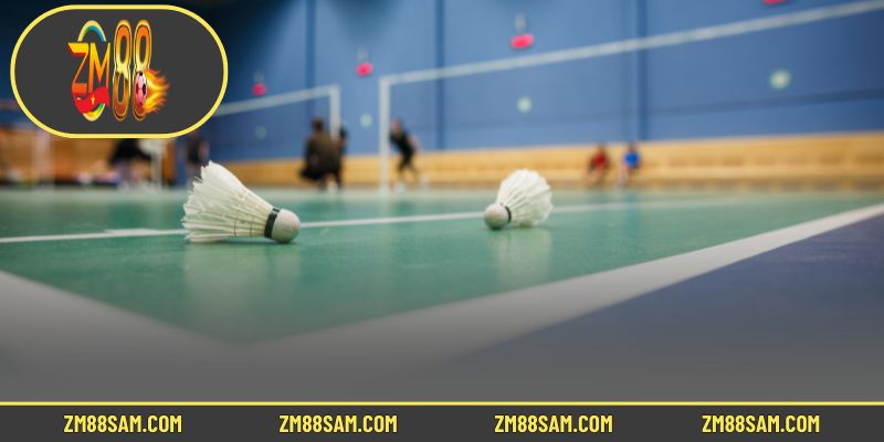 Tổng quan về hình thức cá cược cầu lông ZM88 hot hit