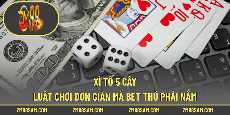 Xì Tố 5 Cây - Luật Chơi Đơn Giản Mà Bet Thủ Phải Nắm!