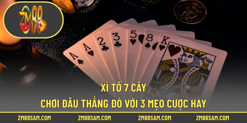 Xì Tố 7 Cây - Chơi Đâu Thắng Đó Với 3 Mẹo Cược Hay!